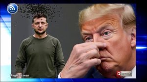 «Просрочка стухла и воняет». Трамп обрушился на Зеленского, отказывающегося сдавать Донбасс