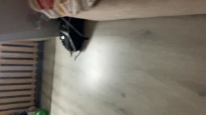 Вечер с Анютой