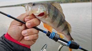 Эффективный мормышинг с GAMMARUS NANO SPIN MSK 0.1-0,6 gr 1.86m