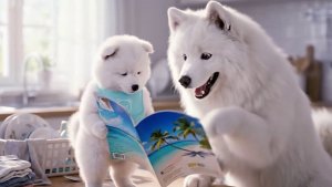 Из жизни Пёсиков