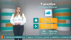 Погода в Старом Осколе на 9 декабря