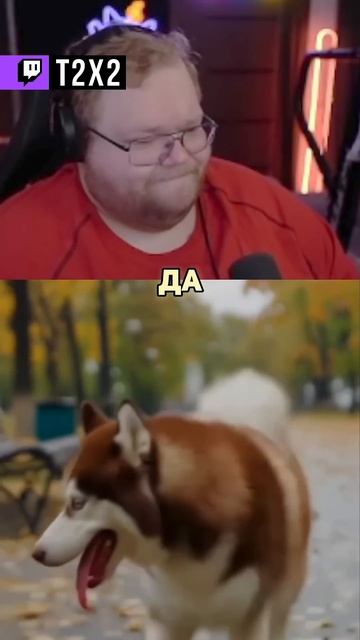 СПАСЕНИЕ ЛАКИ: НАЧАЛО [1/9] - #t2x2 #т2х2 #twitch #реакция #юмор #мем #shorts смотреть онлайн