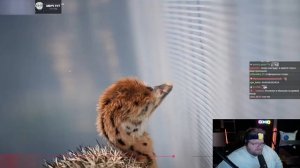 T2x2 СМОТРИТ: Я вывел самые БОЛЬШИЕ и МАЛЕНЬКИЕ яйца в мире