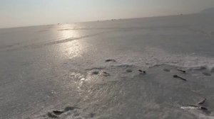 ЗИМНЯЯ РЫБАЛКА в Приморье 2024. Ловля НАВАГИ на море.