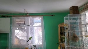 новая лампа для освещения...