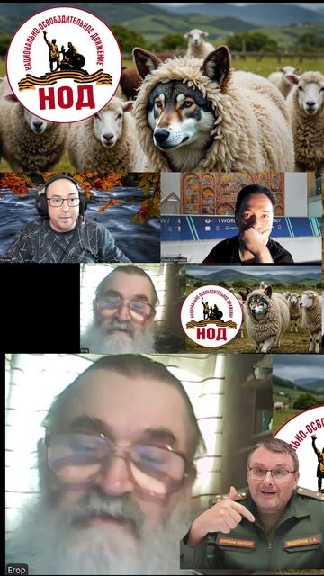 Депутатов сажают надо будет Федорова посадят. На Федорове свет клином не сошелся Кобзев НОД#shorts