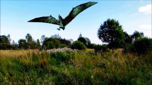 В заросшем поле