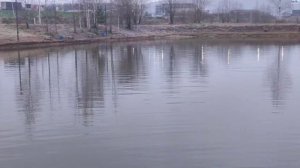 video5310270381926419402