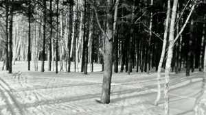 1976 год. Тюмень. Выходной день. Лыжники