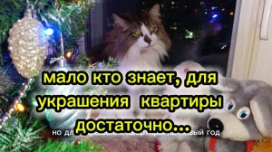 Кошки с озвучкой.