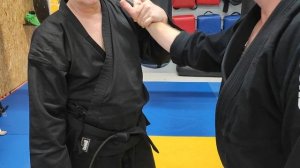 джиу-джитсу феникс