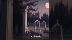 8 декабря 2025 г.