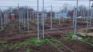 ВИНОГРАД ОБРЕЗАН, УКРЫТ И ГОТОВ К ЗИМОВКЕ