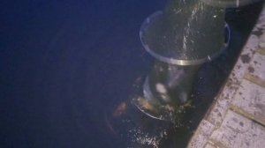 Ночной улов