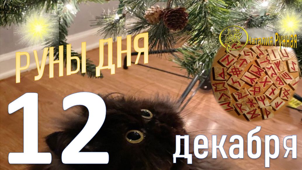 РУНА ДНЯ\прогноз на сегодня, 12 декабря 2025г от Наталии Рунной