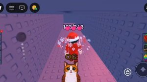 Find the Brainrot (Как найти Meowl?)