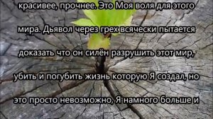 Послание Иисуса Христа : Я люблю созидание и жизнь!  от 6 сентября 2016