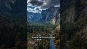 Куда исчезли гигантские деревья/гипотеза/Тгк Парк Земля