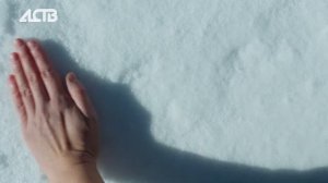 «Наш день»: 8 декабря 2025