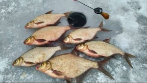 НА ПЕРВЫЙ ЛЁД ЗА ЛЕЩЁМ С ЧЁРТИКАМИ ! Удачное открытие лещёвого сезона !!!