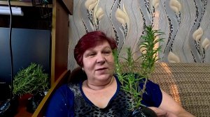 Всё в один день... Выбрала золотую середину...