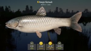 РР 4! Закрыл Амура на Медвежьем !!!