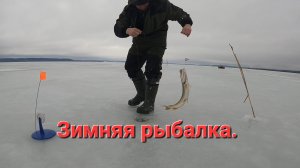 ЗИМНЯЯ РЫБАЛКА НА ОЗЕРЕ. ПРОВЕРКА ЖЕРЛИЦ.