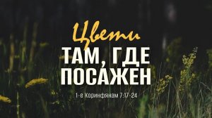 Цвети там, где посажен | 1 Кор. 7:17-24 || Андрей Зубарев