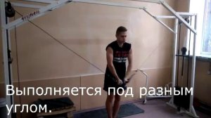 3. Атлетическая гимнастика Изучение техники упражнений на тренажерах