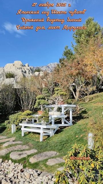 27 ноября 2025 г. Японский сад "Шесть чувств". Драконий водопад, бонсай, Чайный дом, мост Марухаси