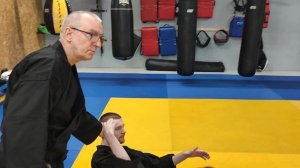 джиу-джитсу феникс