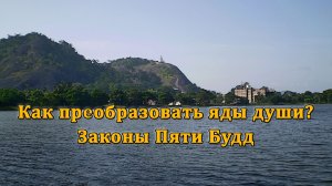Как преобразовать яды души? Законы Пяти Будд