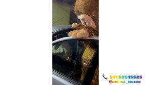 Лабубу и авто 8 905 781 55 25