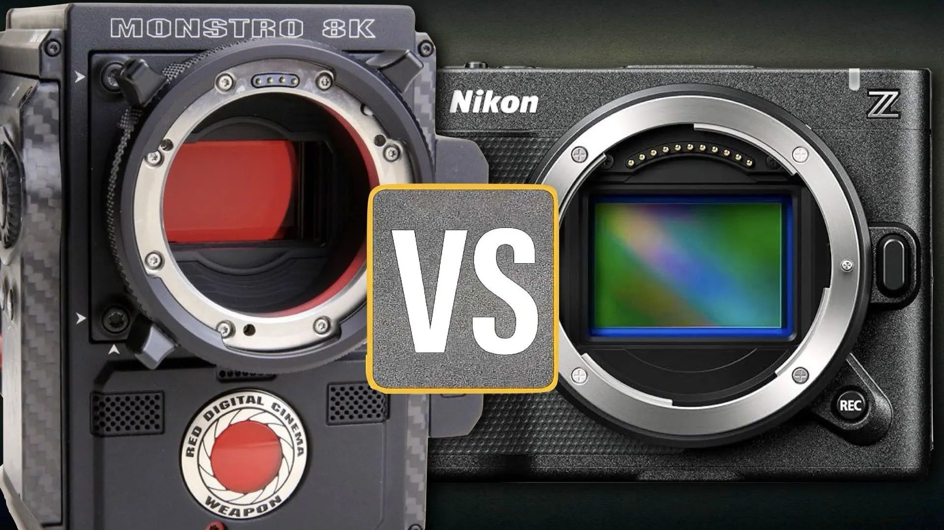 Сравниваем  Nikon ZR vs RED Monstro