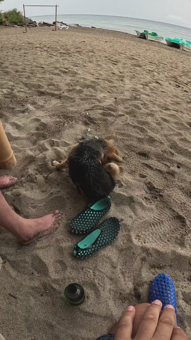 Морской Волк