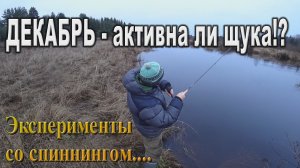 Декабрь - активна ли щука!?  Эксперименты со спиннингом!