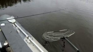 Рыбалка в Латгалии. Даугава. Западная Двина.