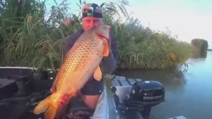 ТРОФЕЙ ВЛЕТЕЛ НА ЗАКАТЕ. РЫБАЛКА НА САЗАНА. На донку и червя, жмых, макуха