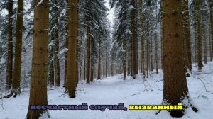 «АиФ»: спасатель Кабанов заявил, что пропавшую семью Усольцевых уже не спасти