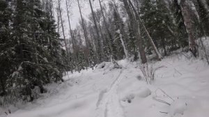 удача на путике