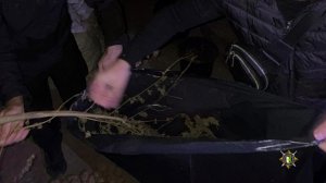 Зыкапан рацәоу арҩышьыгатә маҭәашьар рымхын Очамчыра араион аҟны инхо атәылауаа.