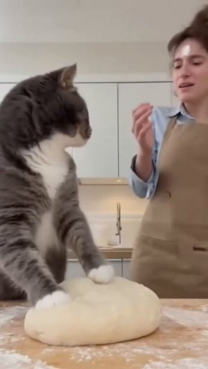 Иди делами уже займись 😁😁😁