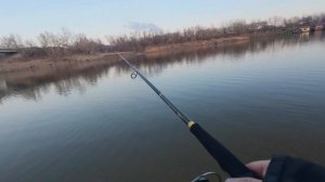 РЫБАЛКА НА ТИРОЛЬКУ В ЧЕРТЕ ВОЛЖСКОГО