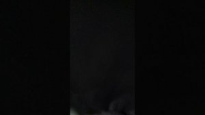 балуемся в шторах и беегаем