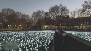 🇬🇧 Рождественские огни Лондона 2025  Роскошная рождественская пешая экскурсия по Челси, 4K