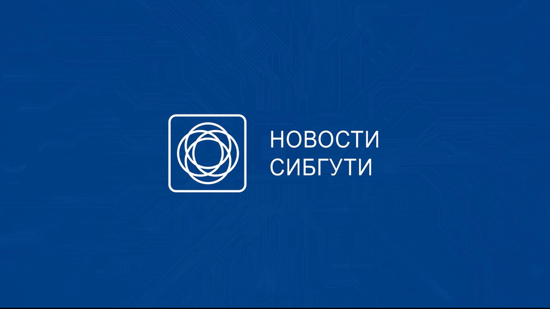 Новости СибГУТИ ноябрь 2025 смотреть онлайн