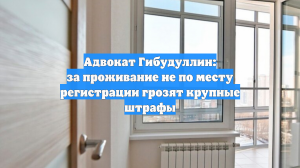 Адвокат Гибудуллин: за проживание не по месту регистрации грозят штрафы