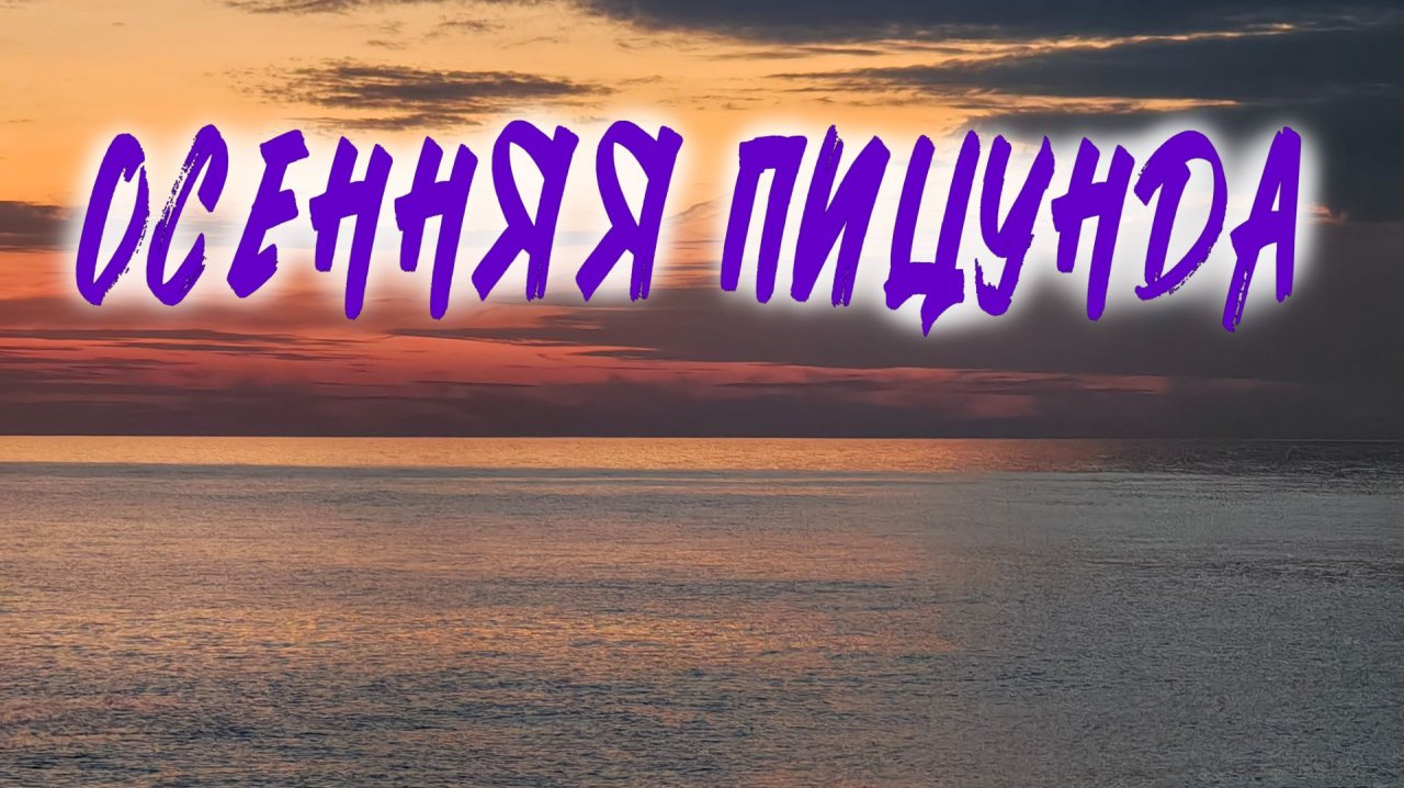 АБХАЗИЯ. ПИЦУНДА ОСЕНЬЮ