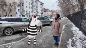 "Зебра" (07.12.25)