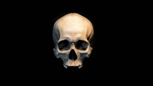 СМЕРТЬ - Сталкер - Брат - Три Части